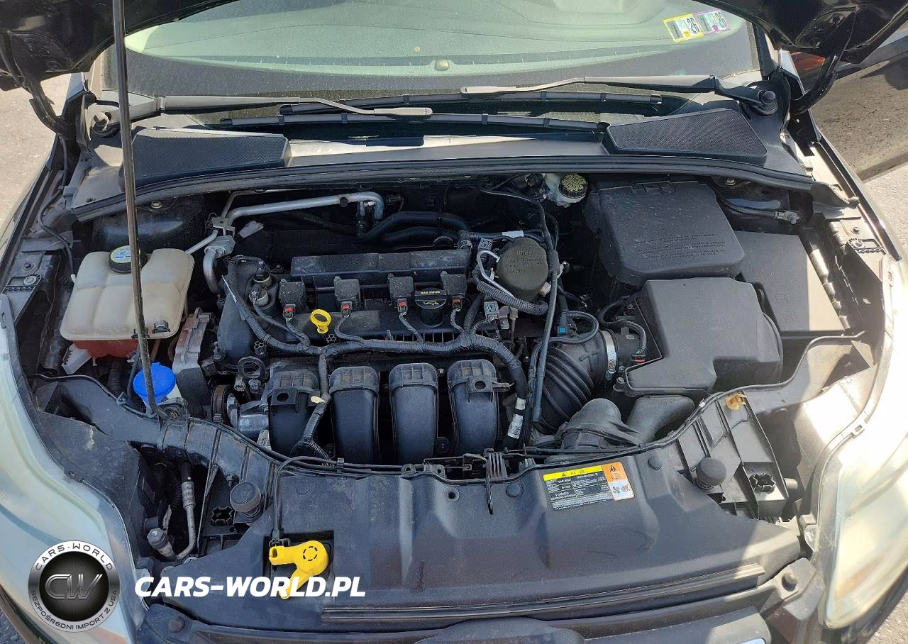 2013 FORD FOCUS S VIN:1FADP3E25DL206823 - 11