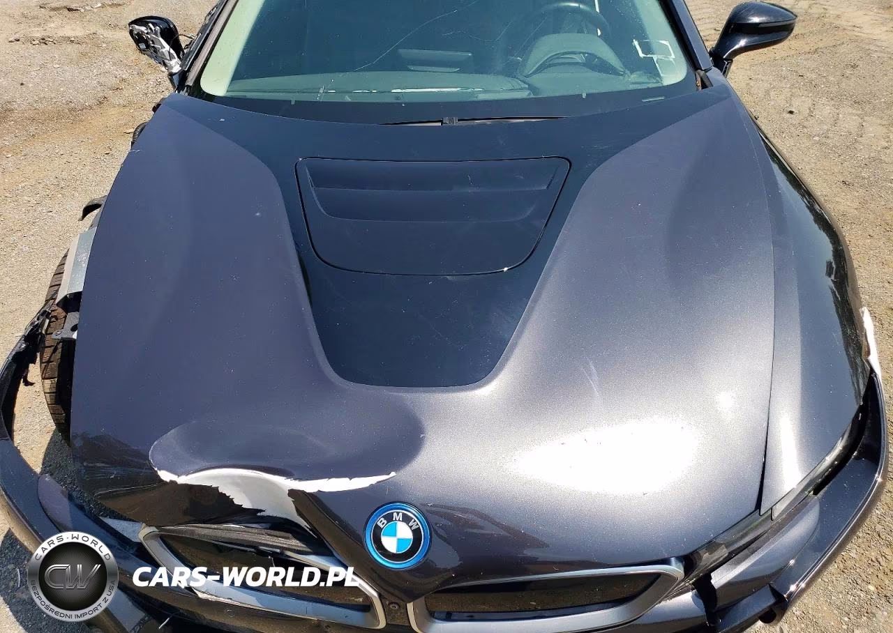 2019 BMW I8 VIN:WBY2Z4C5XKVB81807 - 11