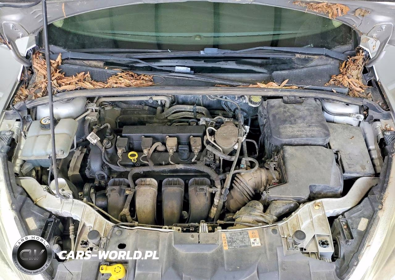 2016 Ford Focus Se VIN:1FADP3K20GL277260 - 11