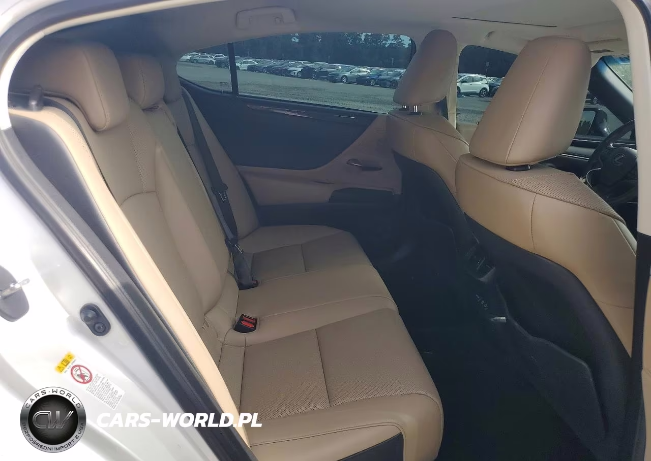 2019 Lexus Es 350 VIN:58ABZ1B18KU045293 - 10