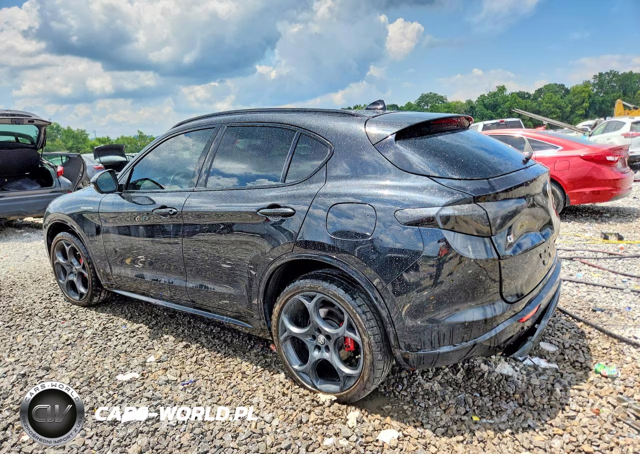 2024 Alfa Romeo Stelvio Ti VIN:ZASPAKBN6R7D70428 - 2
