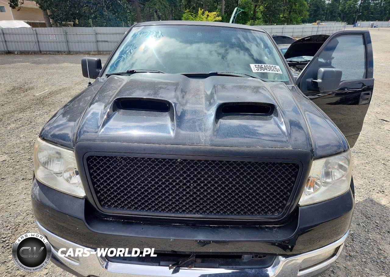 2004 Ford F150 VIN:1FTPX14524NB34989 - 11