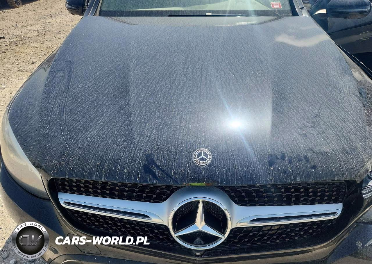 2019 Mercedes-Benz Glc Coupe 300 4Matic VIN:WDC0J4KB3KF561502 - 12