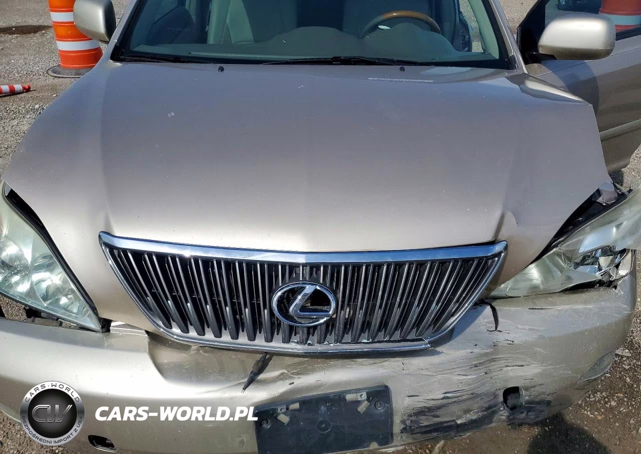 2005 Lexus Rx 330 VIN:2T2GA31U65C025444 - 11