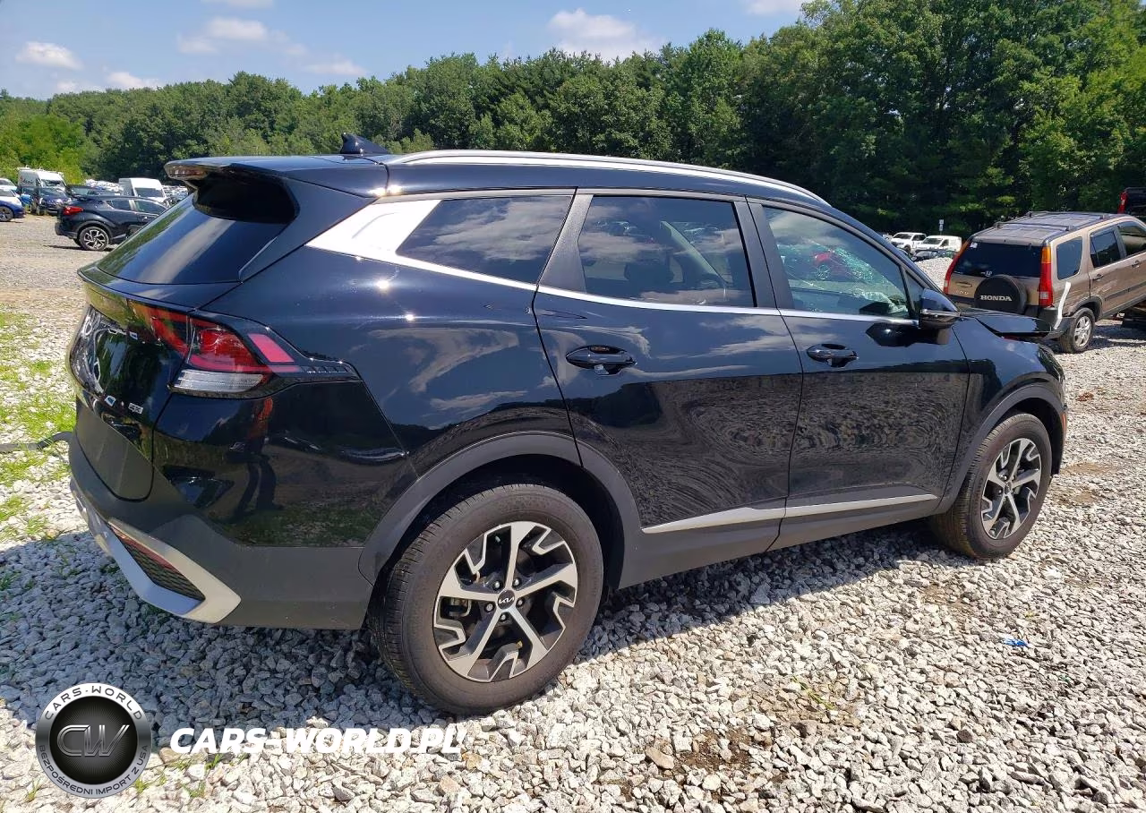 2024 Kia Sportage Ex VIN:5XYK3CDFXRG162600 - 3
