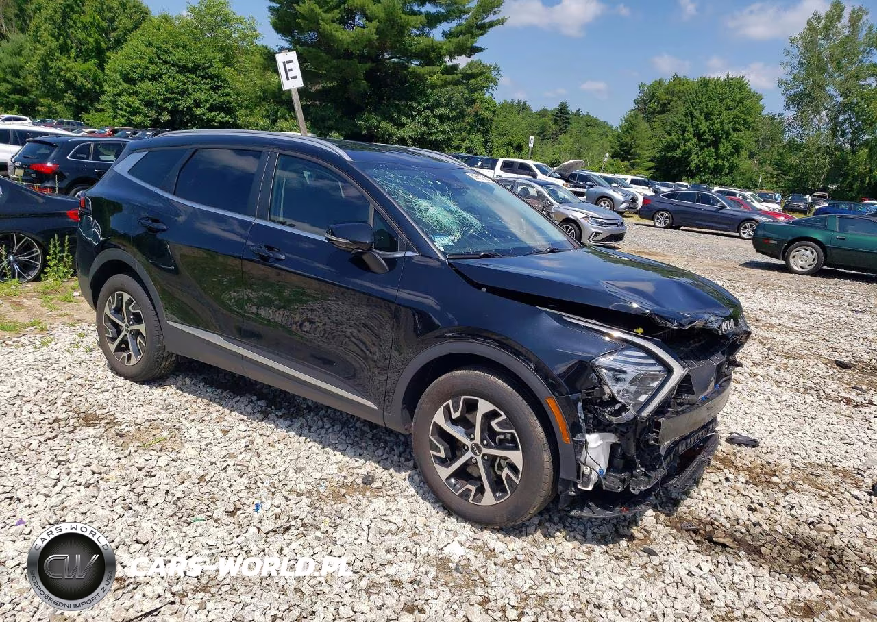 2024 Kia Sportage Ex VIN:5XYK3CDFXRG162600 - 4