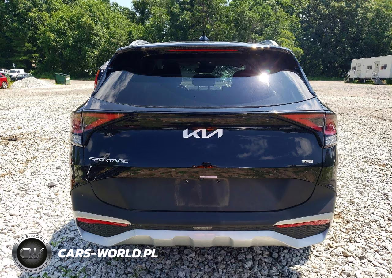 2024 Kia Sportage Ex VIN:5XYK3CDFXRG162600 - 6