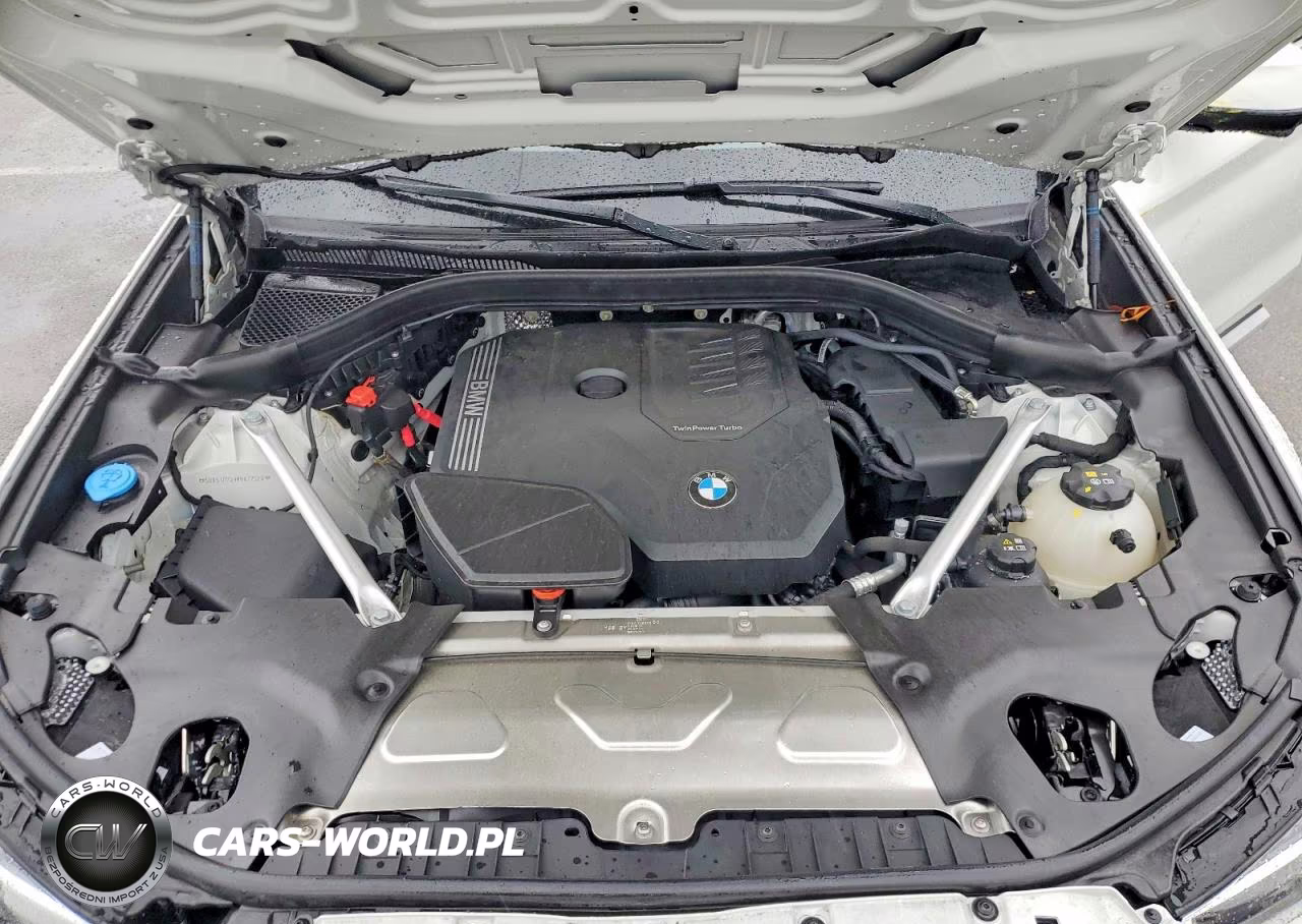2024 BMW X3 xDrive30I VIN:5UX53DP09R9X22620 - 12