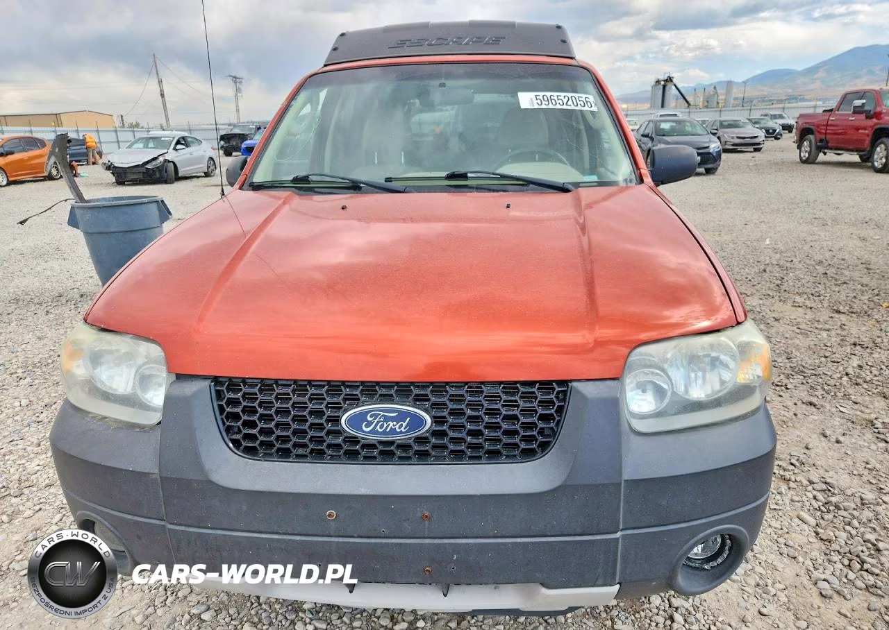 2006 Ford Escape Xlt VIN:1FMCU931X6KA33929 - 5