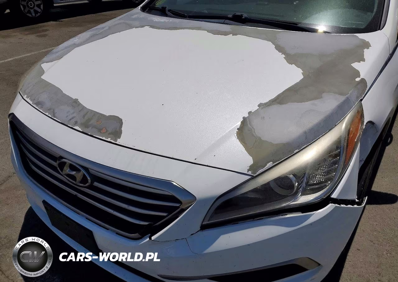 2017 Hyundai Sonata Se VIN:5NPE24AF0HH530686 - 11