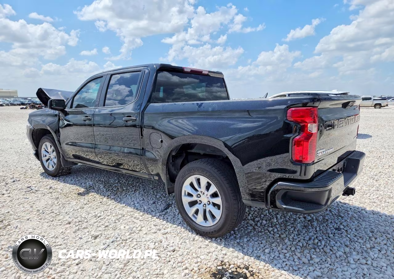 2022 Chevrolet Silverado C1500 Custom VIN:3GCPABEK7NG635074 - 2