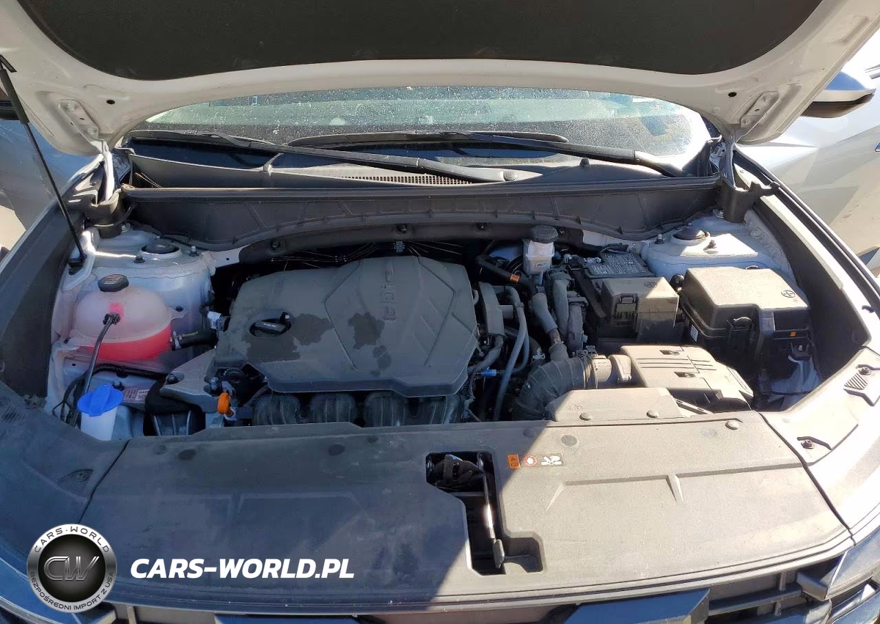 2025 Hyundai Tucson Sel VIN:5NMJB3DE6SH564180 - 12