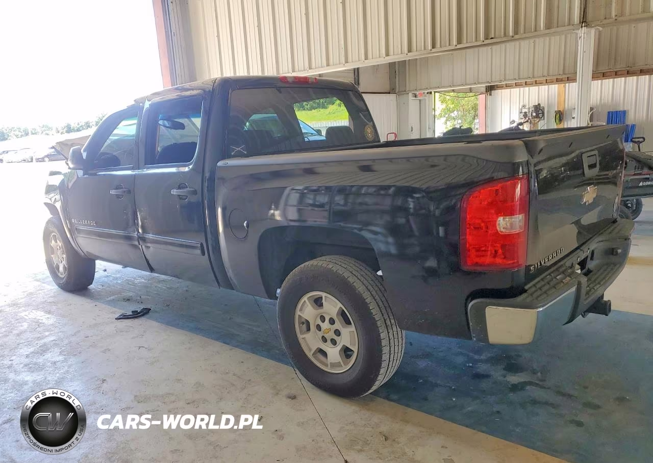 2009 Chevrolet Silverado VIN:3GCEC13C19G160065 - 2