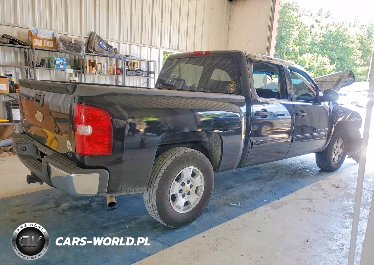 2009 Chevrolet Silverado VIN:3GCEC13C19G160065 - 3