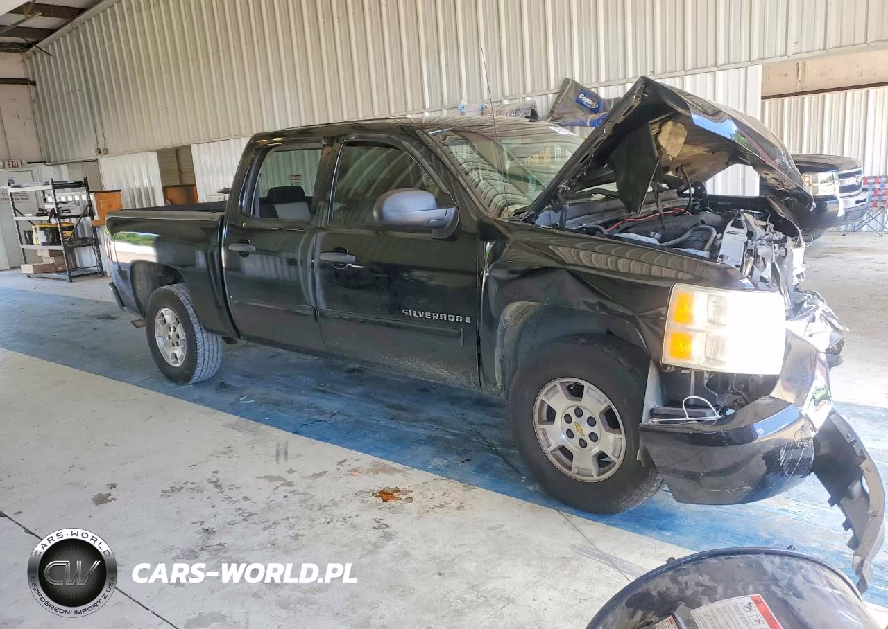 2009 Chevrolet Silverado VIN:3GCEC13C19G160065 - 4