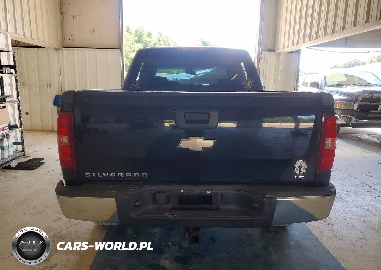 2009 Chevrolet Silverado VIN:3GCEC13C19G160065 - 6