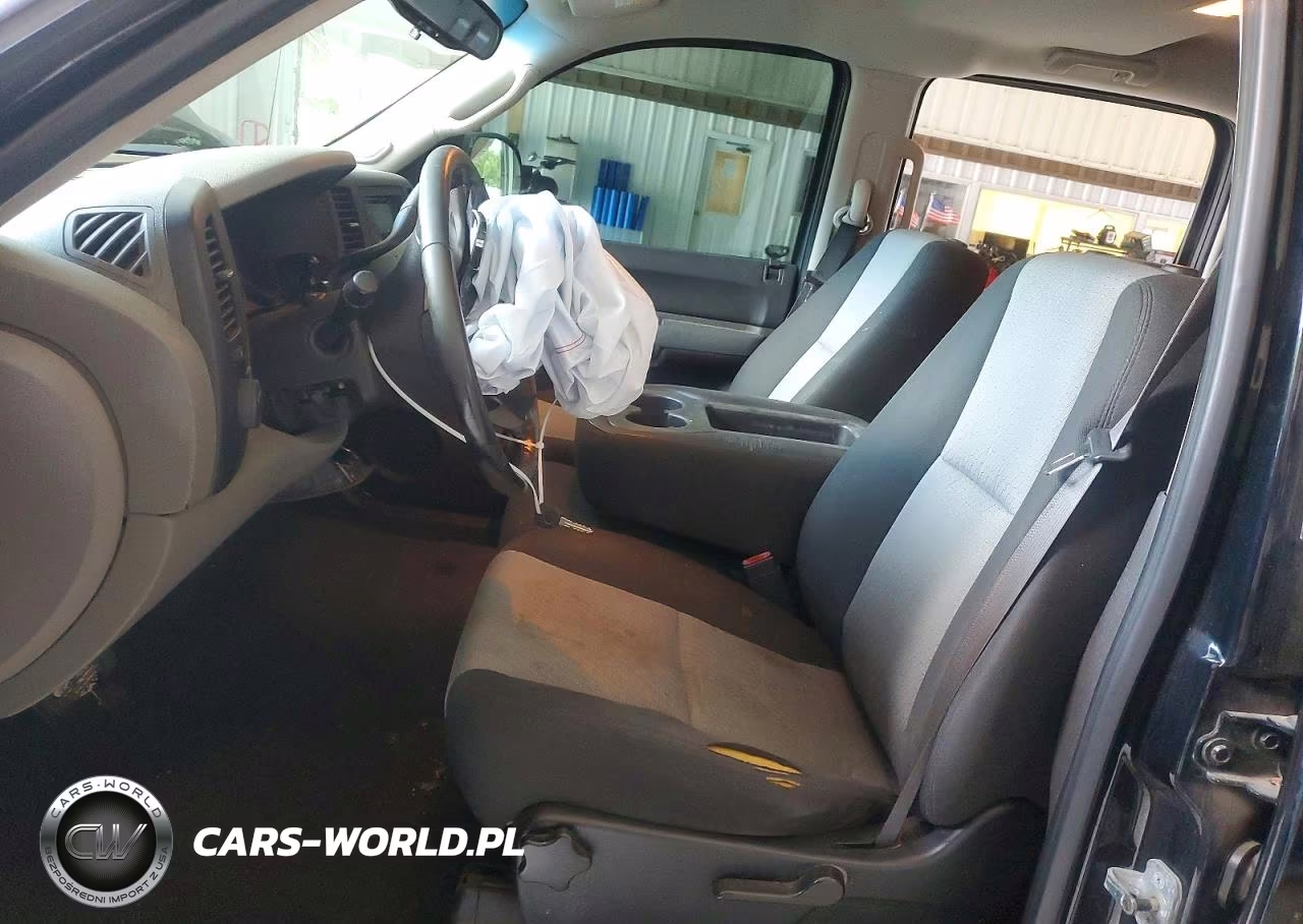 2009 Chevrolet Silverado VIN:3GCEC13C19G160065 - 7