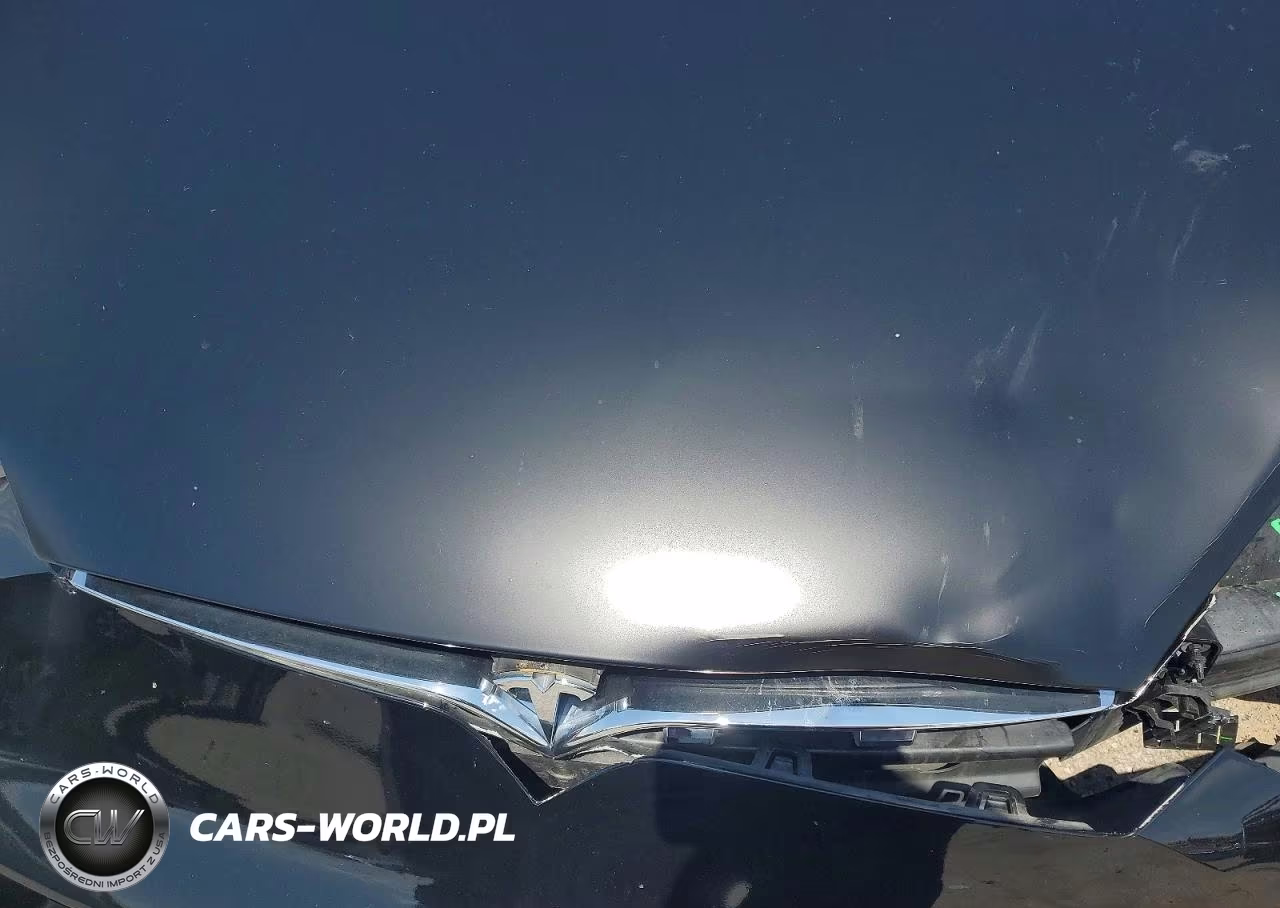 2021 Tesla Model S VIN:5YJSA1E23MF424415 - 11