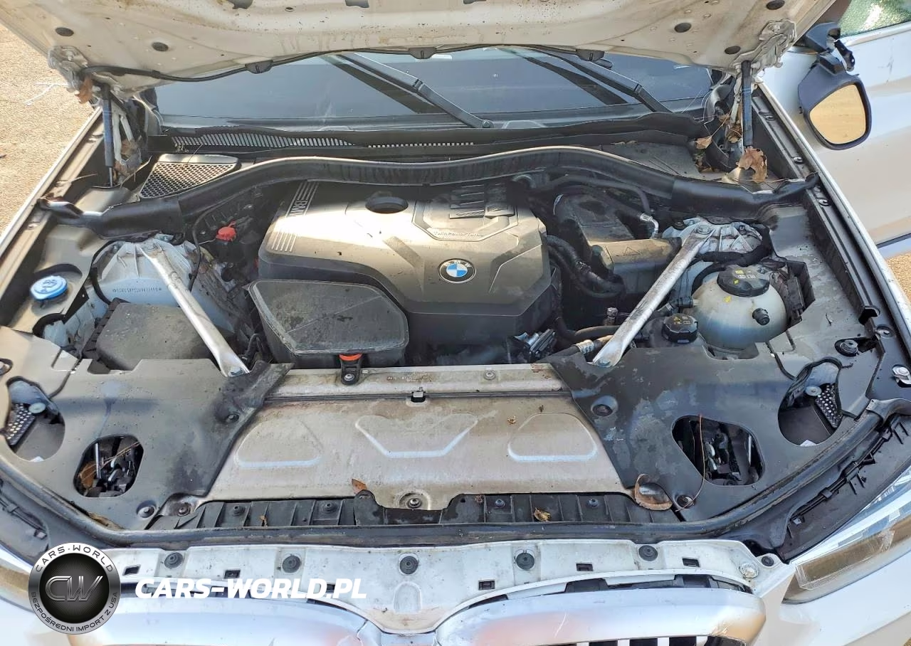 2024 BMW X3 Sdrive30I VIN:5UX43DP00R9V22558 - 11