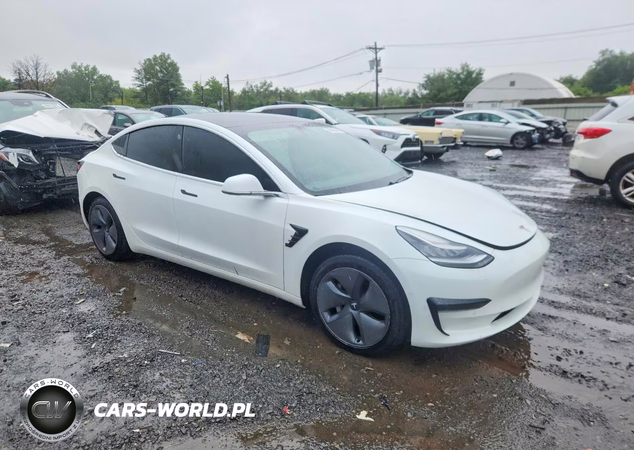 2020 Tesla Model 3 VIN:5YJ3E1EA4LF792729 - 4