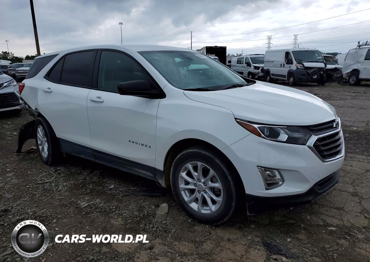 2020 Chevrolet Equinox Ls VIN:3GNAXHEV4LS698698 - 4
