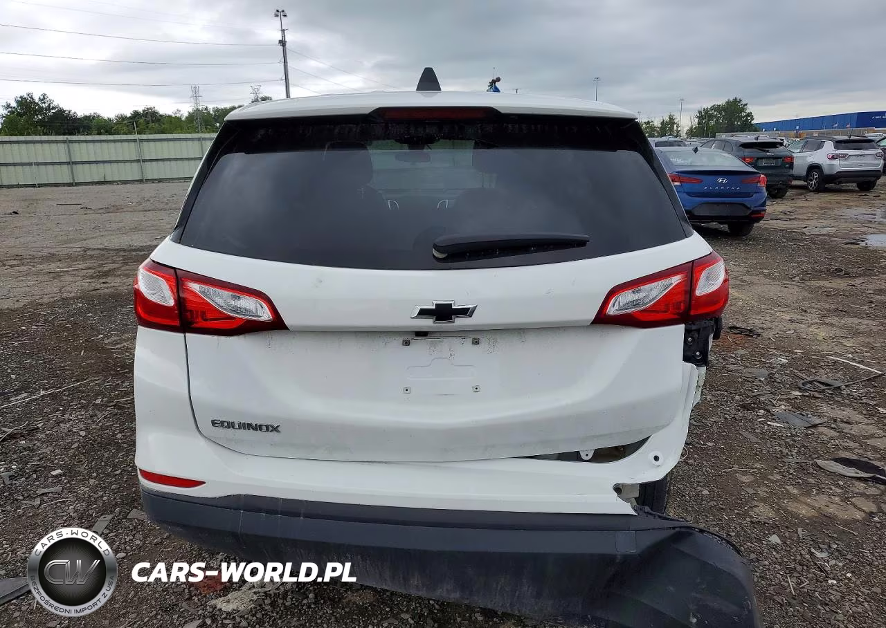 2020 Chevrolet Equinox Ls VIN:3GNAXHEV4LS698698 - 6