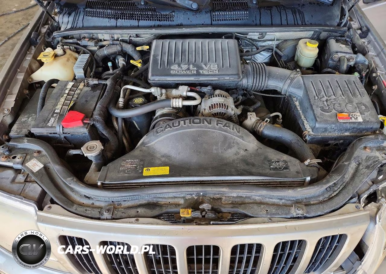 1999 Jeep Grand Cherokee Limited VIN:1J4GW68N4XC689107 - 11