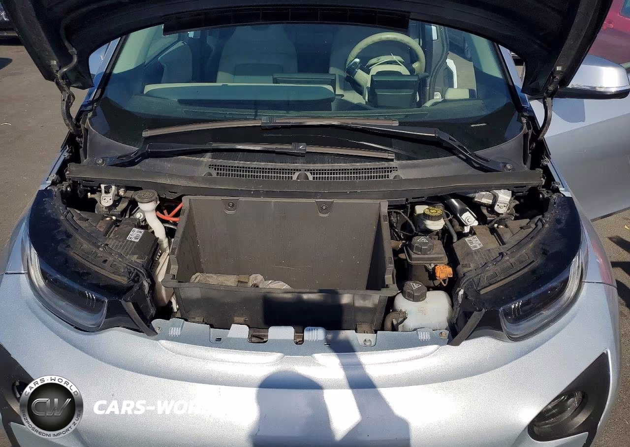 2014 BMW I3 Bev VIN:WBY1Z2C50EV285997 - 11