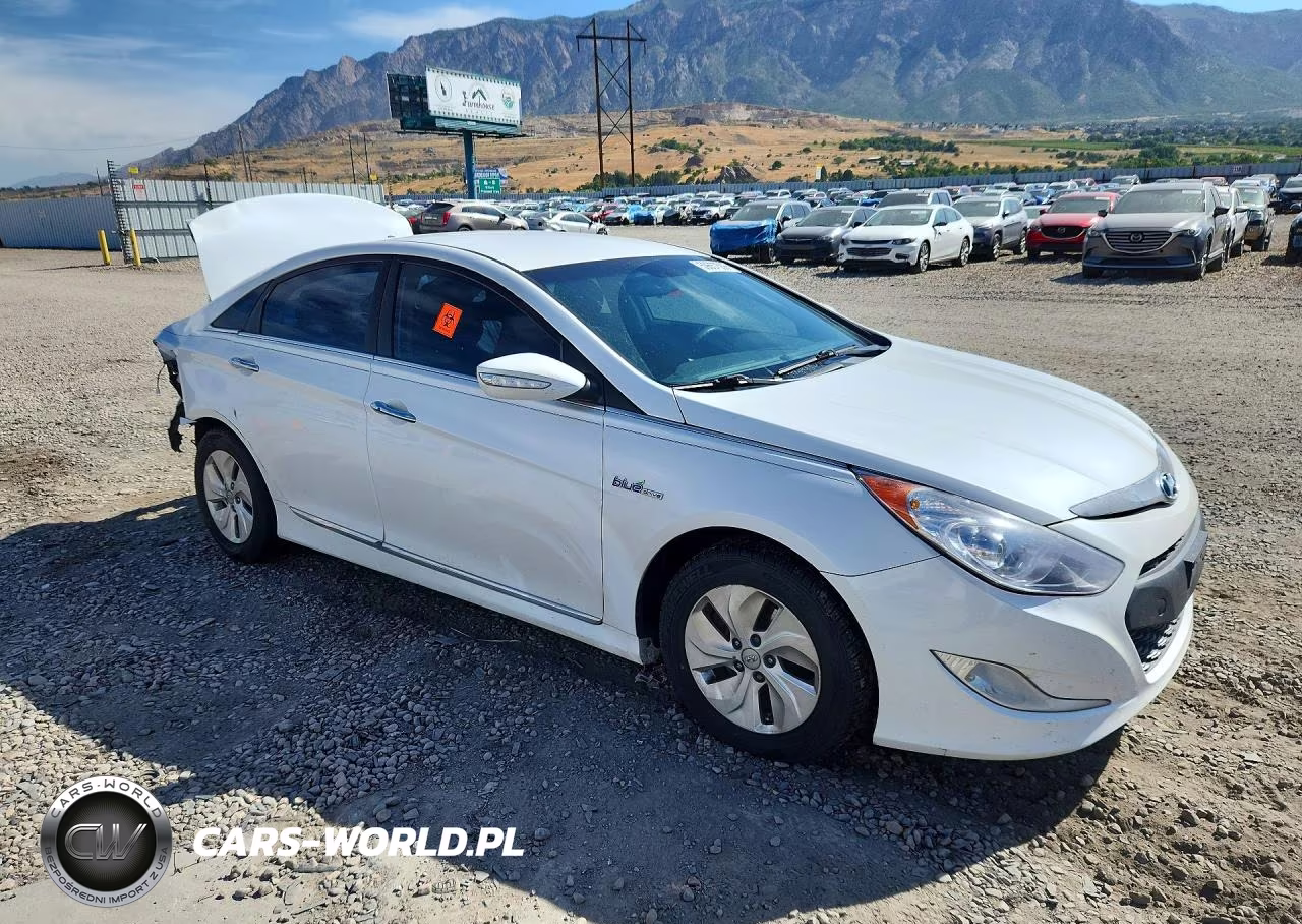 2014 Hyundai Sonata VIN:KMHEC4A44EA115171 - 4