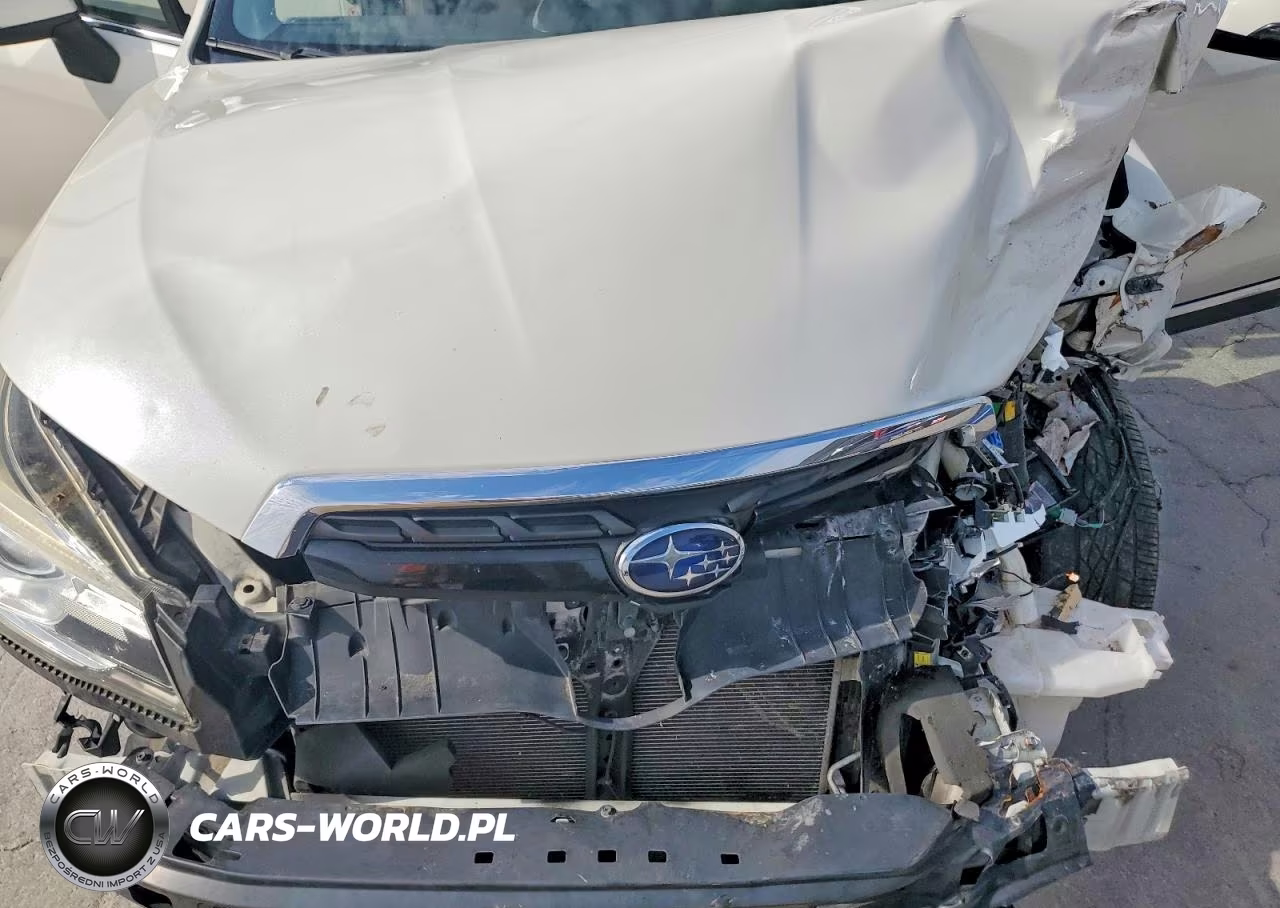 2017 Subaru Forester 2.0Xt Touring VIN:JF2SJGWC2HH804959 - 12