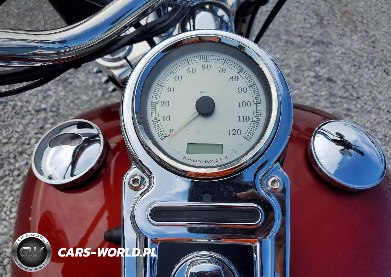 2009 Harley-Davidson Fxdc VIN:1HD1GV4129K313955 - 7