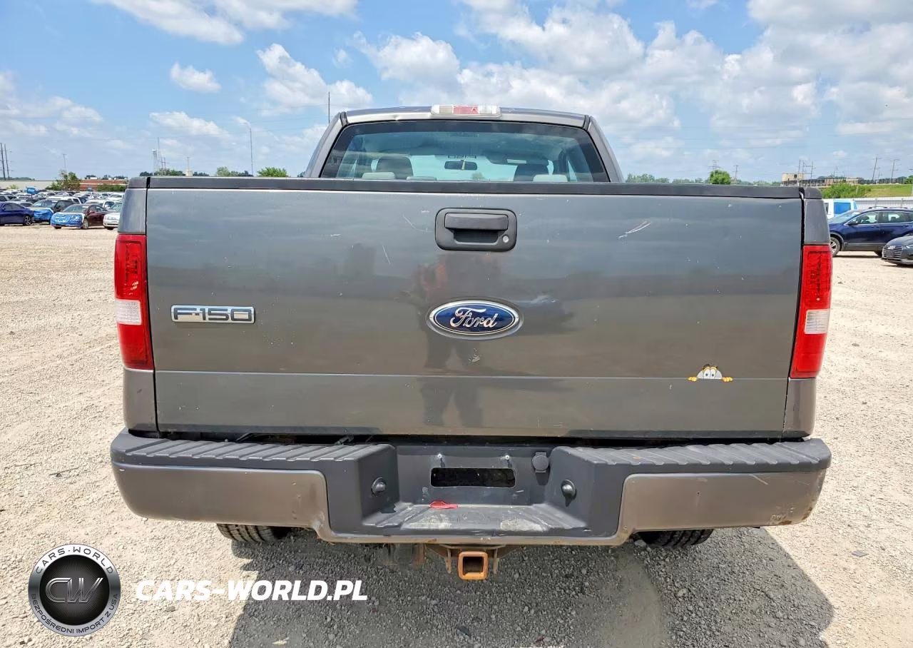 2006 Ford F150 VIN:1FTRX14W96FA24620 - 6