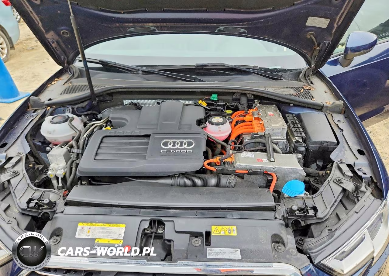 2018 Audi A3 E-Tron Premium VIN:WAUUPBFF5JA063432 - 11