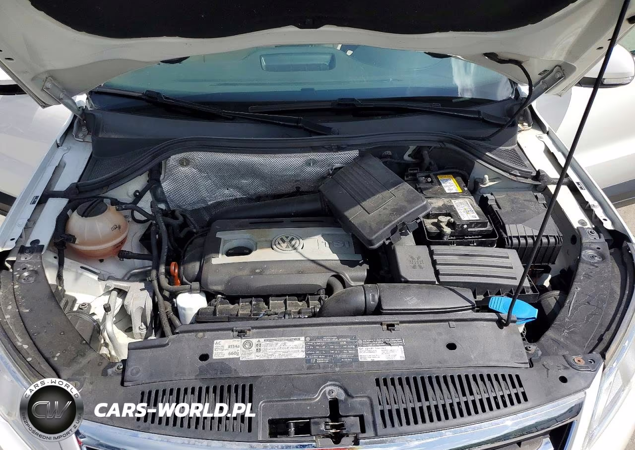 2011 Volkswagen Tiguan Se VIN:WVGBV7AX8BW548841 - 12