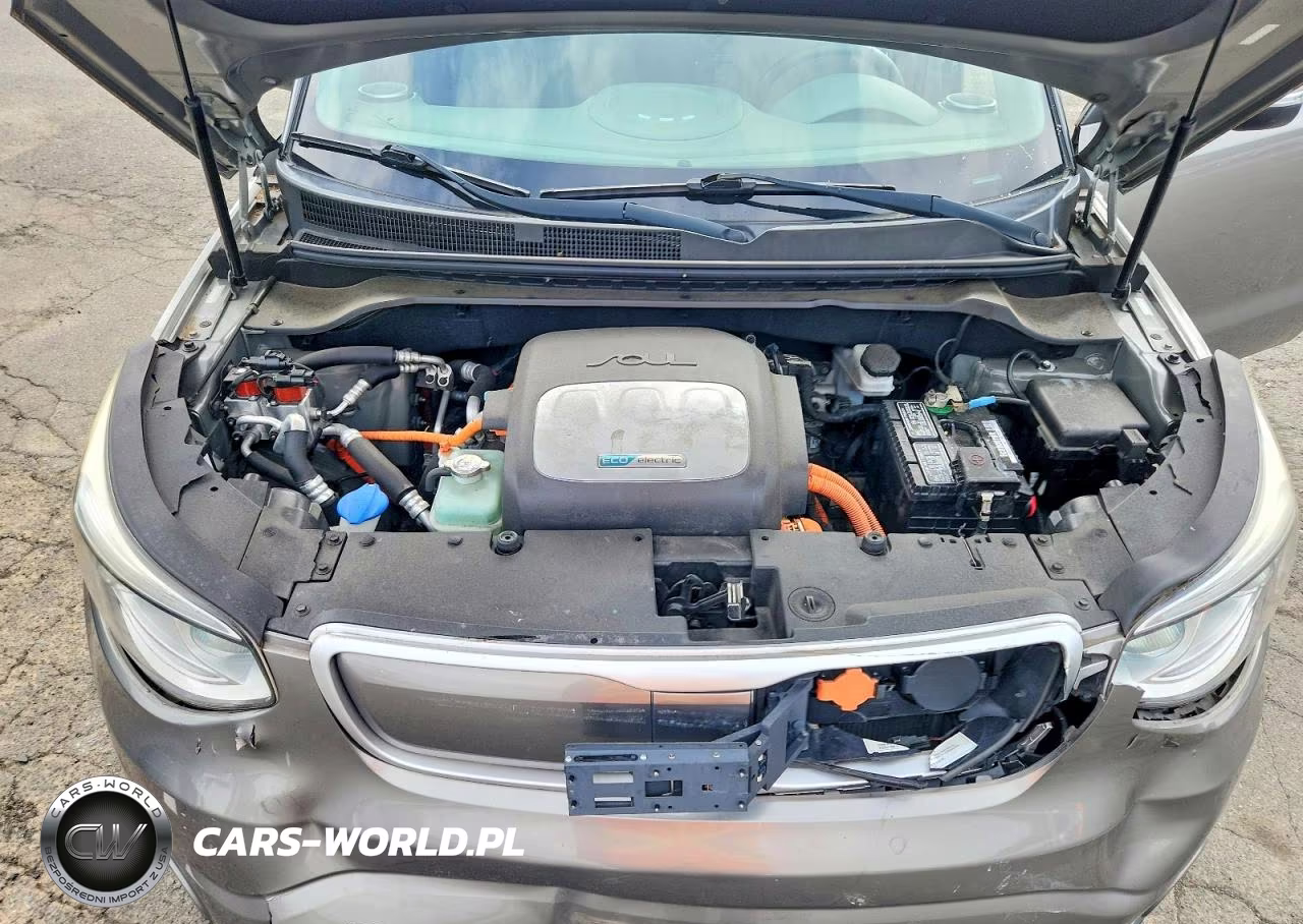 2016 Kia Soul Ev Base VIN:KNDJP3AEXG7006093 - 11