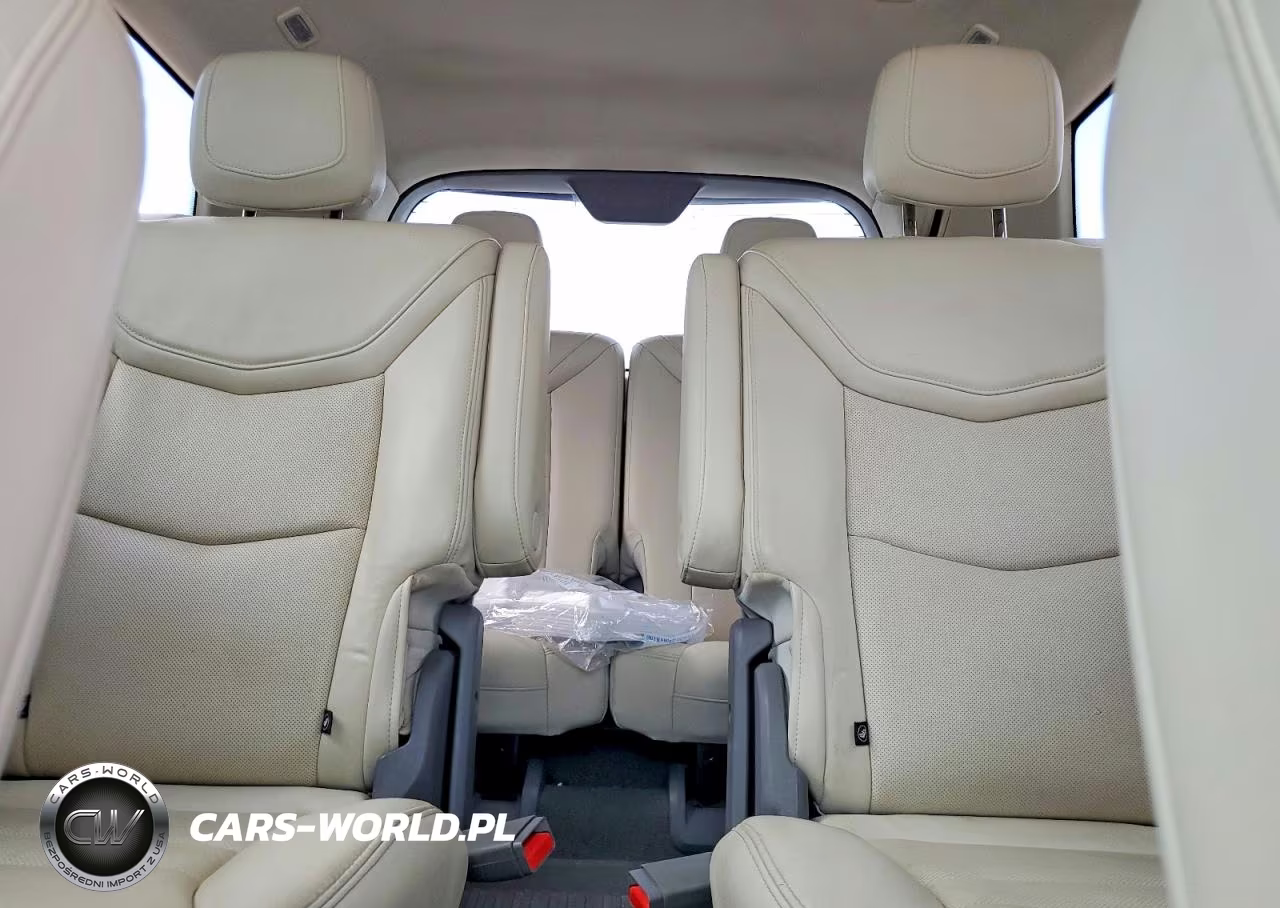 2020 Cadillac Xt6 Premium Luxury VIN:1GYKPCRS2LZ159025 - 10