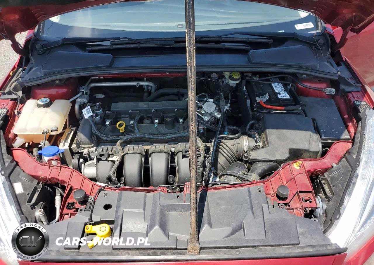 2016 Ford Focus Se VIN:1FADP3F21GL263653 - 11