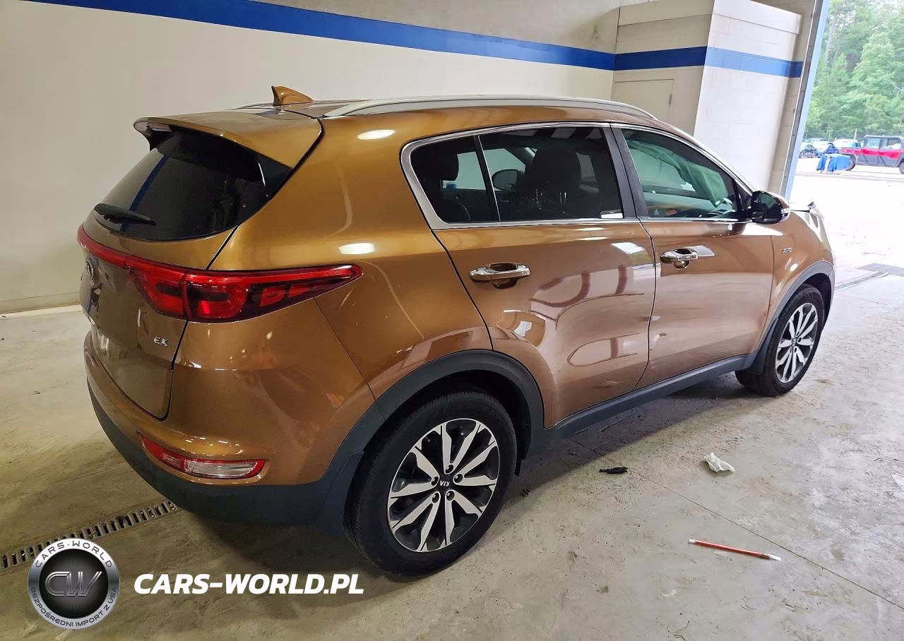 2019 Kia Sportage Ex VIN:KNDPNCAC7K7624933 - 3