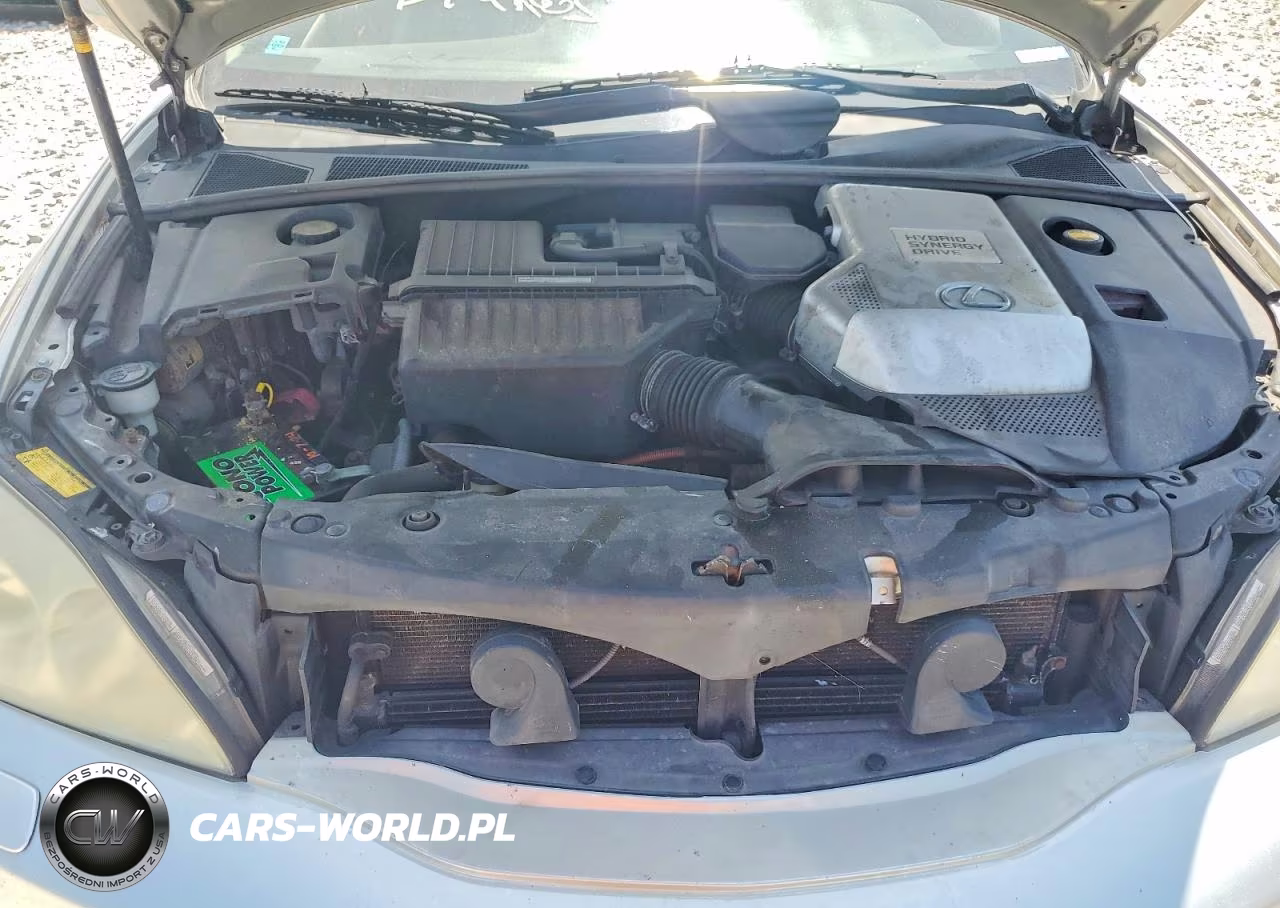 2006 Lexus Rx 400 VIN:JTJHW31U660007299 - 11