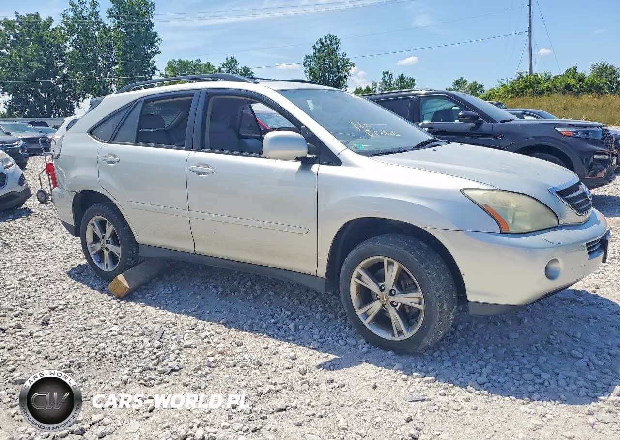 2006 Lexus Rx 400 VIN:JTJHW31U660007299 - 4
