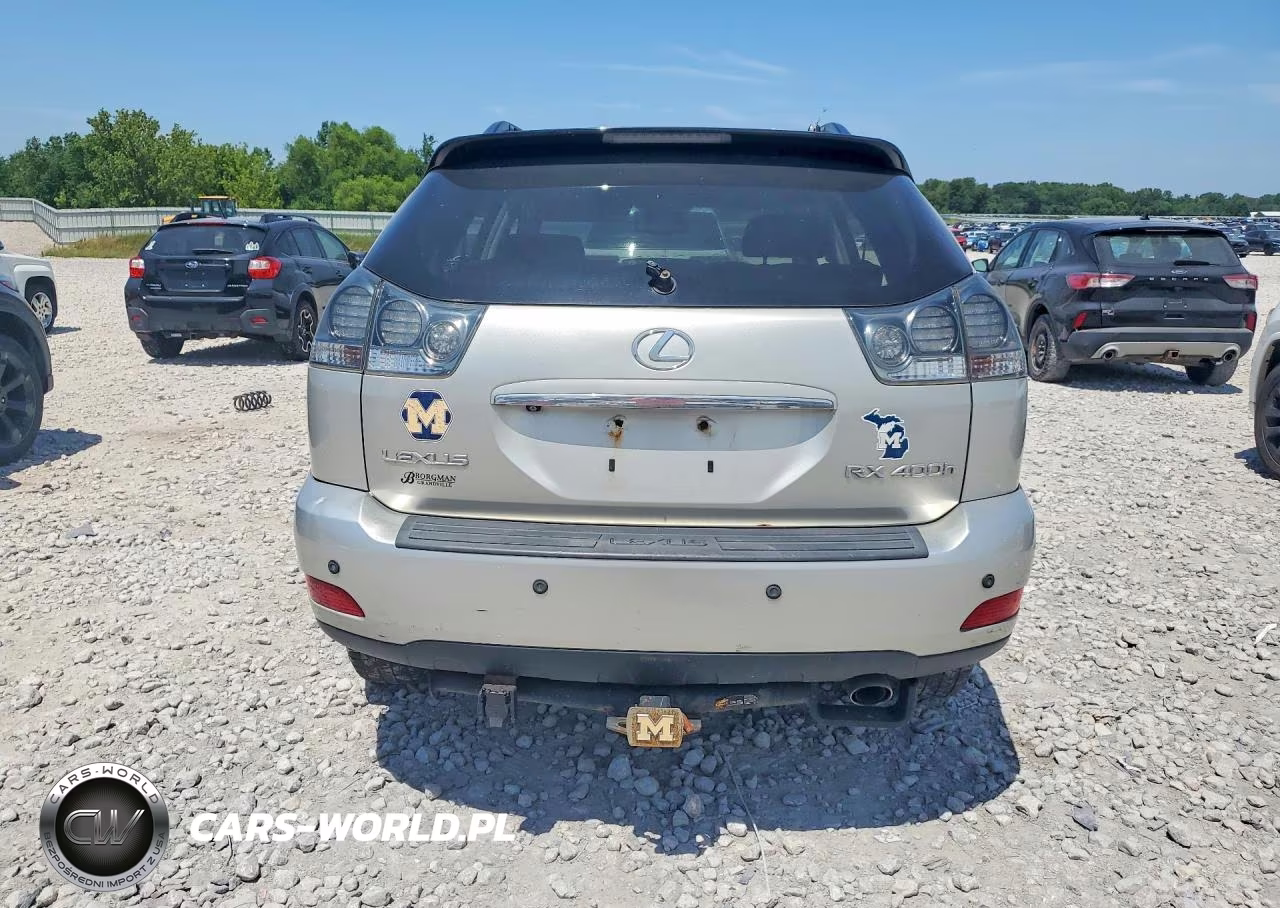 2006 Lexus Rx 400 VIN:JTJHW31U660007299 - 6