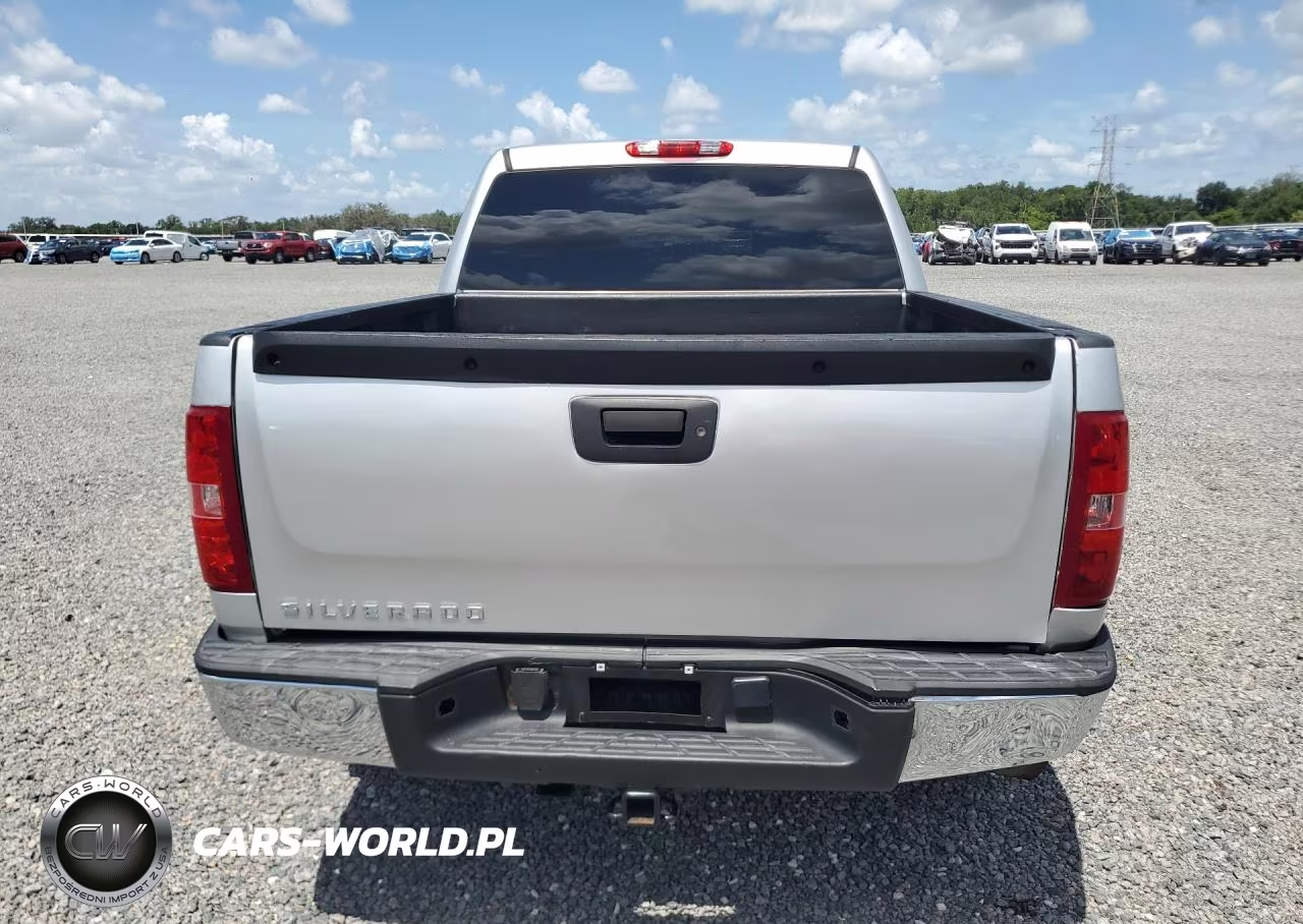 2010 Chevrolet Silverado 1500 Ls VIN:3GCRCREA3AG160388 - 6