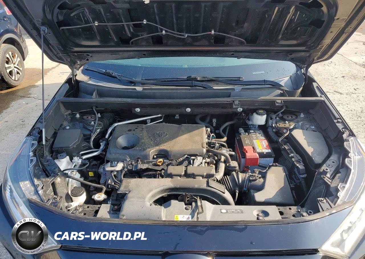 2019 Toyota Rav4 Xle VIN:2T3P1RFV1KW047975 - 12