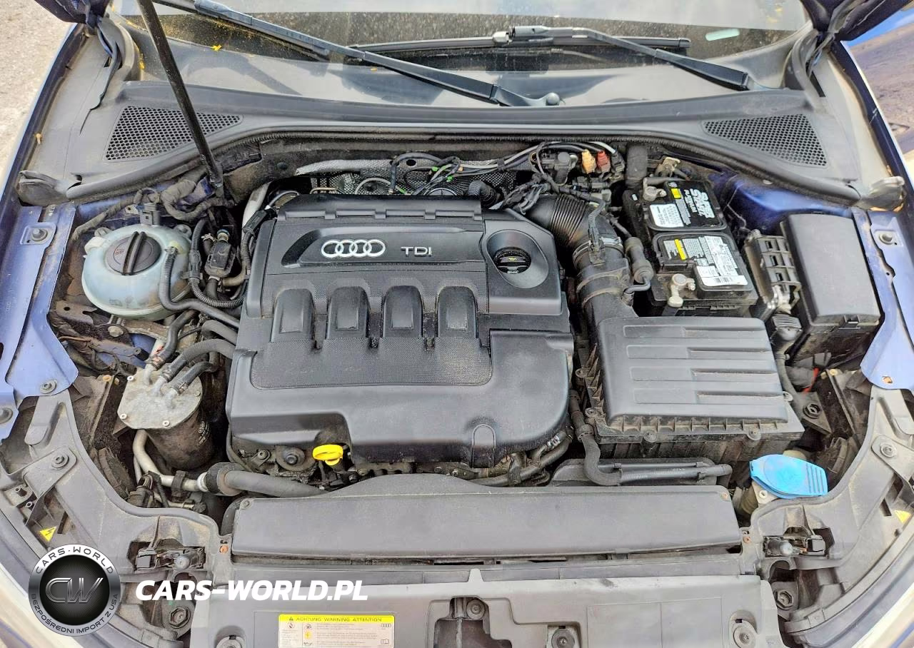 2014 Audi A3 Premium Plus VIN:WAUCJGFFXF1038673 - 11