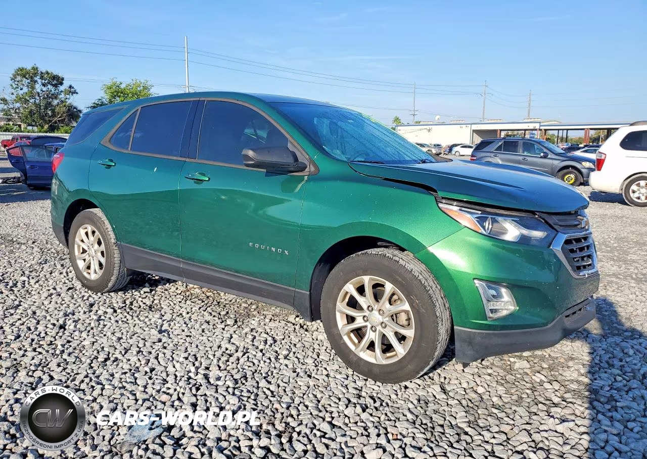 2019 Chevrolet Equinox Ls VIN:2GNAXHEV1K6173885 - 4