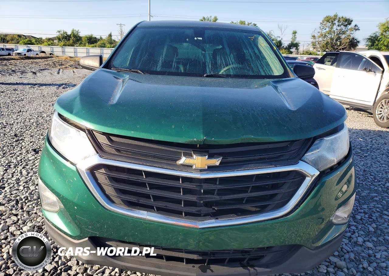 2019 Chevrolet Equinox Ls VIN:2GNAXHEV1K6173885 - 5