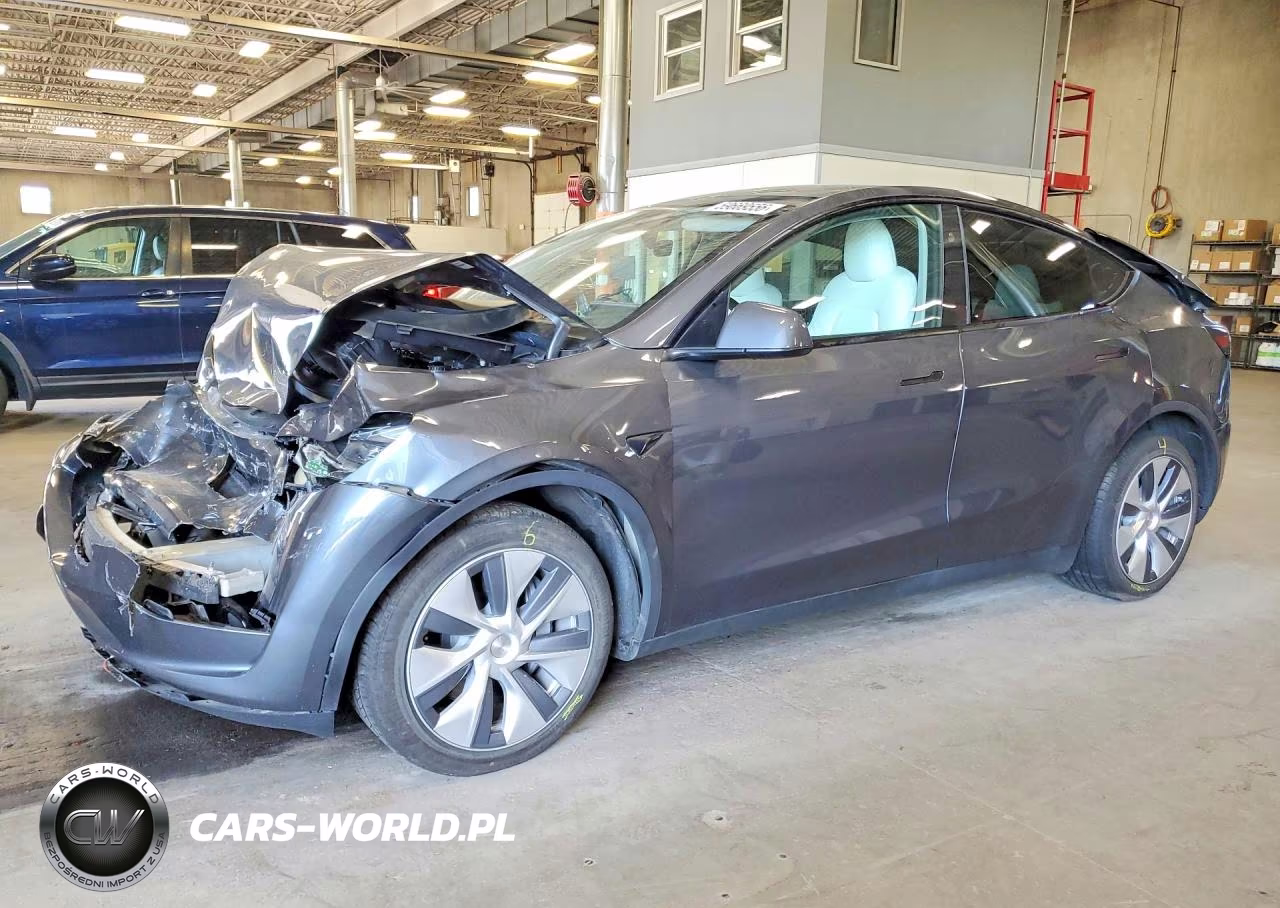 2023 Tesla Model Y VIN:7SAYGDEE7PF894331 - 1