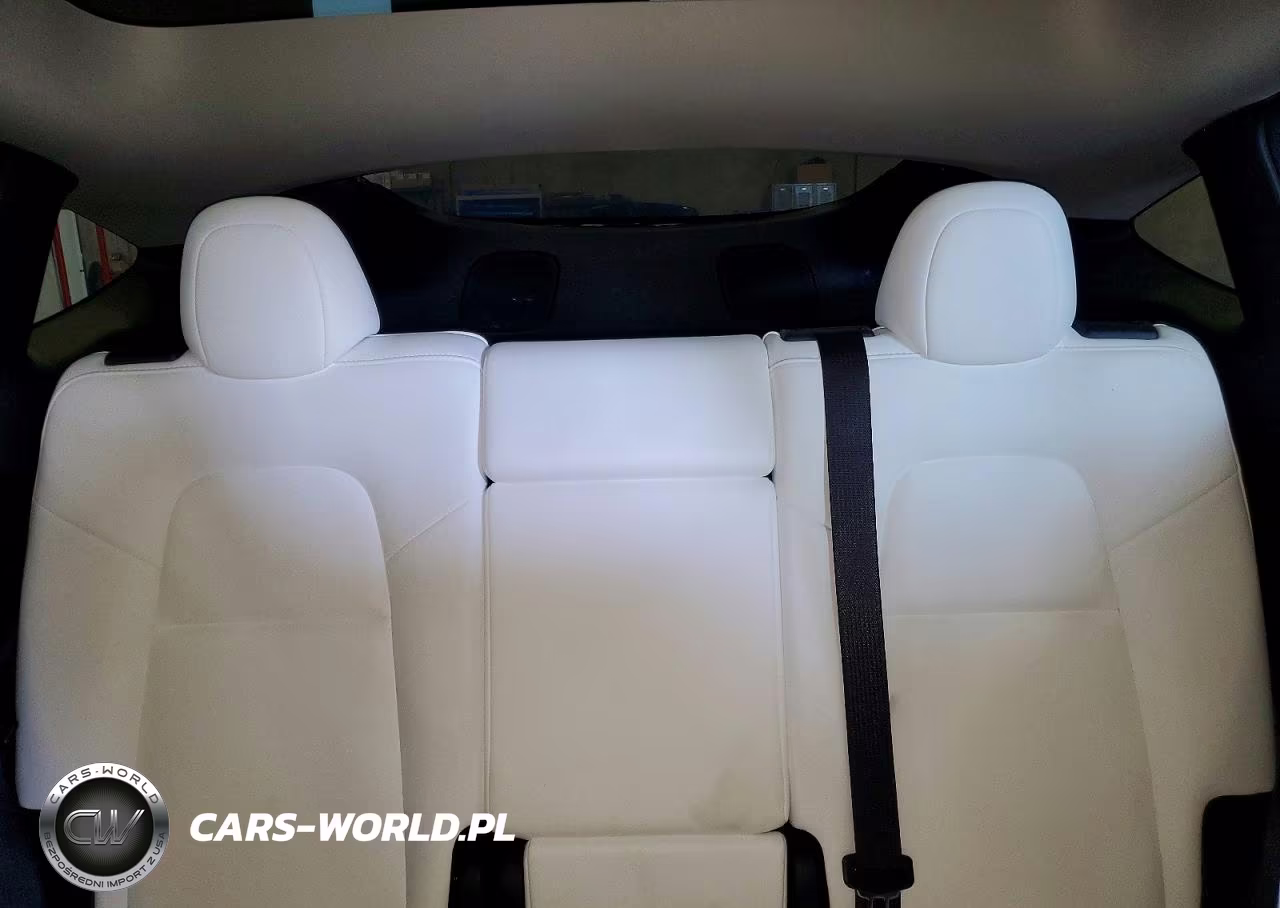 2023 Tesla Model Y VIN:7SAYGDEE7PF894331 - 10