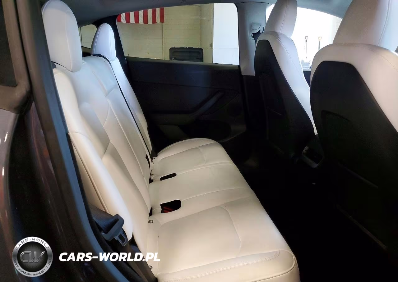2023 Tesla Model Y VIN:7SAYGDEE7PF894331 - 11