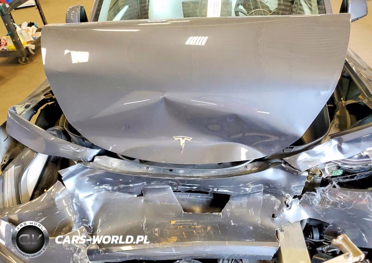2023 Tesla Model Y VIN:7SAYGDEE7PF894331 - 12